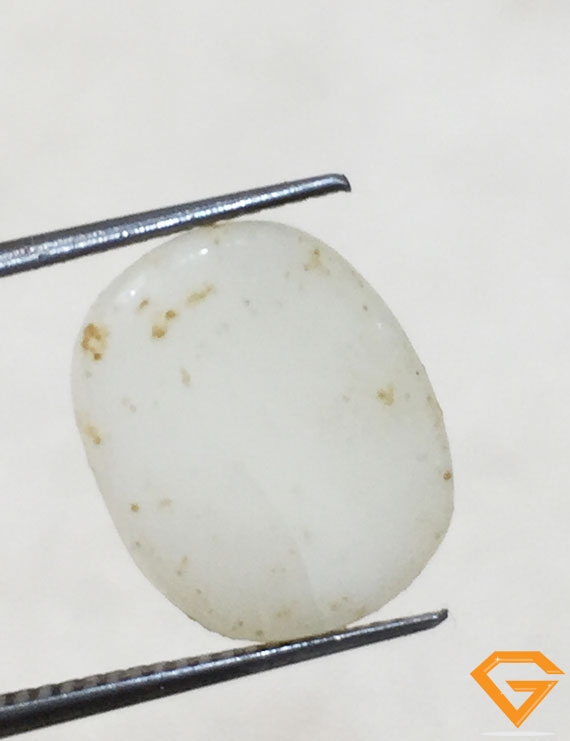 5.60 ratti/5.18 ct Natural Certified  White Coral/सफ़ेद मूंगा